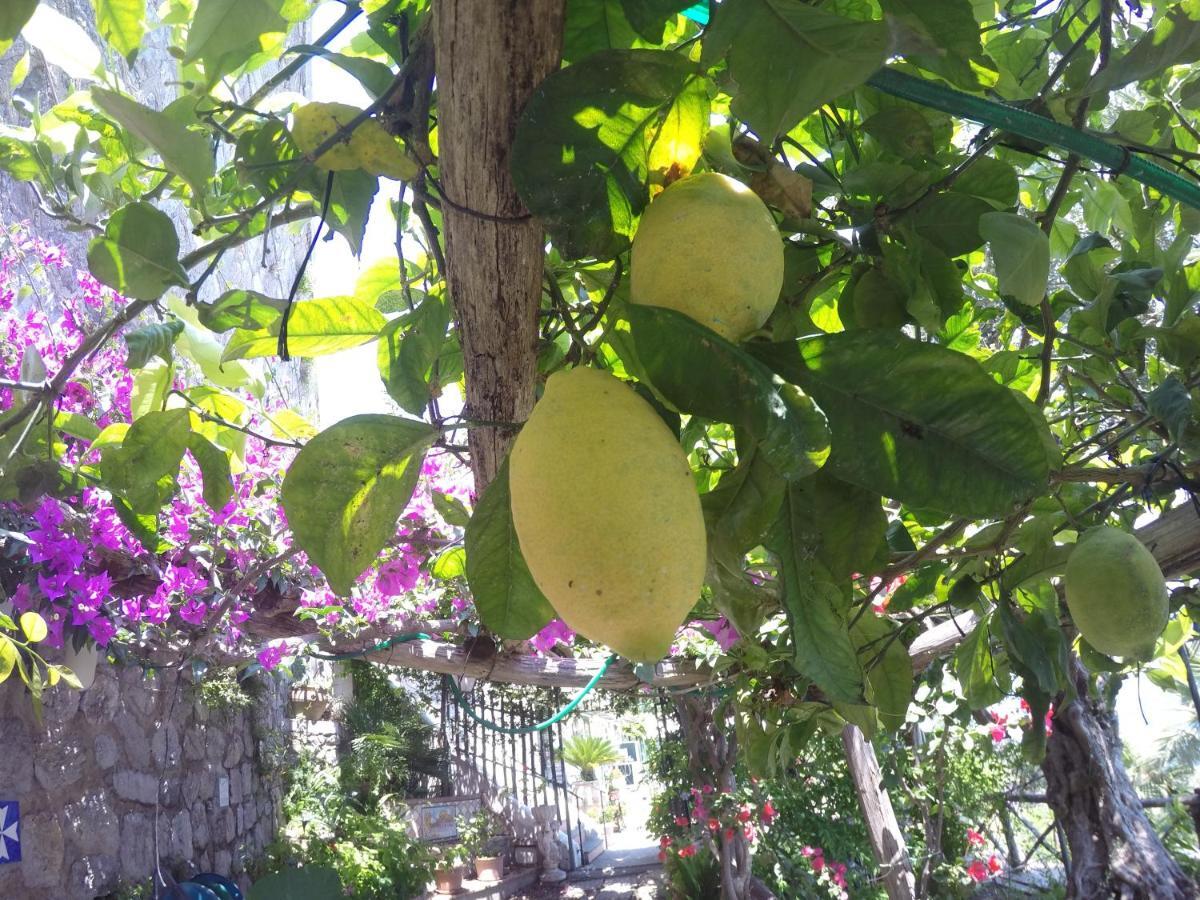 Casa Hermosa Frühstückspension