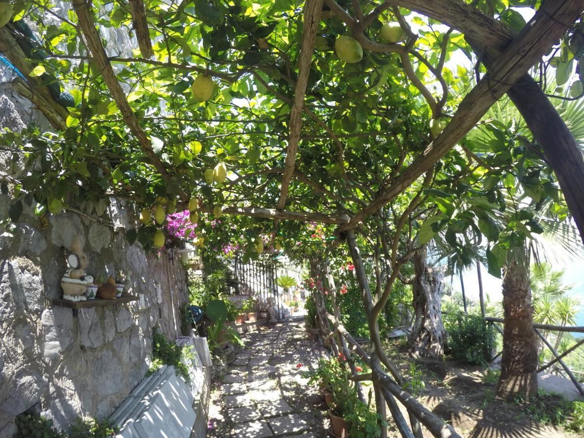 Casa Hermosa Amalfi