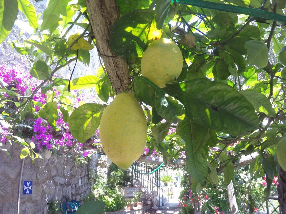 Casa Hermosa Amalfi